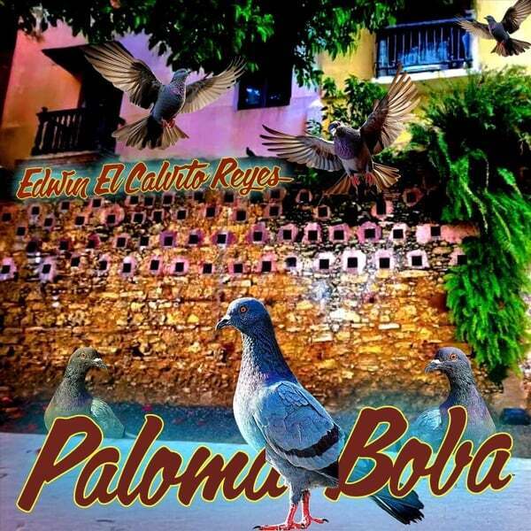 Cover art for Paloma Boba